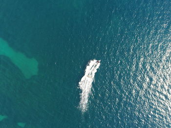 High angle view of boat in sea