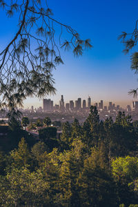 Trees and buildings against blue sky