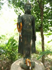 Buddha statue in park