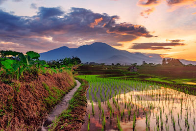 The view of the mountains in the morning with a reflection on the beautiful rice fields