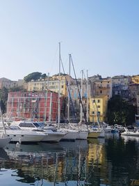 Sailboats in marina