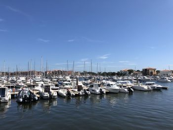 Sailboats moored in harbor