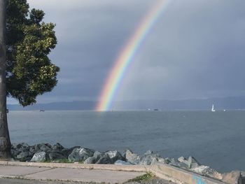 Scenic view of rainbow over trees against sky