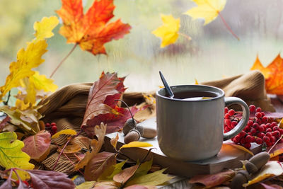 Autumn still life with a beautiful bokeh. autumn leaves and a cup of hot steaming coffee or tea