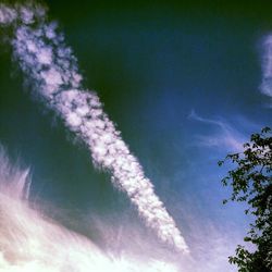 Low angle view of tree against sky