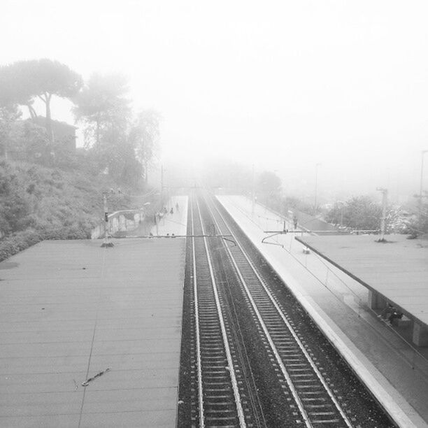 transportation, railroad track, rail transportation, the way forward, diminishing perspective, vanishing point, public transportation, clear sky, mode of transport, tree, railroad station platform, railway track, railroad station, sky, weather, road, train - vehicle, travel, foggy