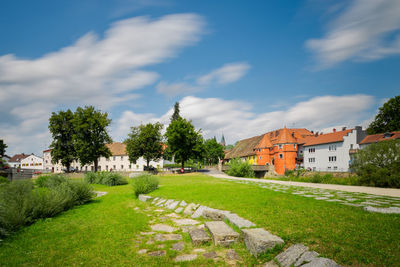 Trees and houses on field by buildings against sky