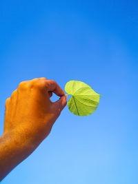 Low angle view of hand holding leaf against clear blue sky