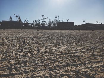 Sand dune on beach against sky