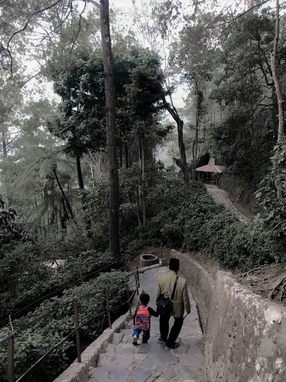 REAR VIEW OF PEOPLE WALKING ON ROAD IN FOREST