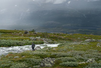 Rear view of man walking on mountain