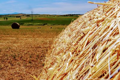 Hay bales on field against sky