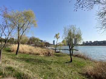 Scenic view of lake against clear sky