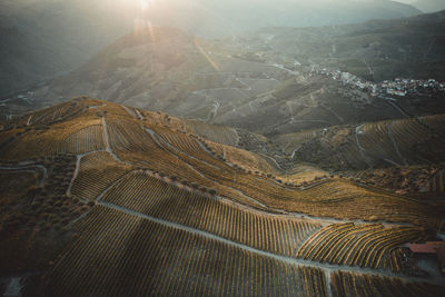 Douro vineyards from aerial view