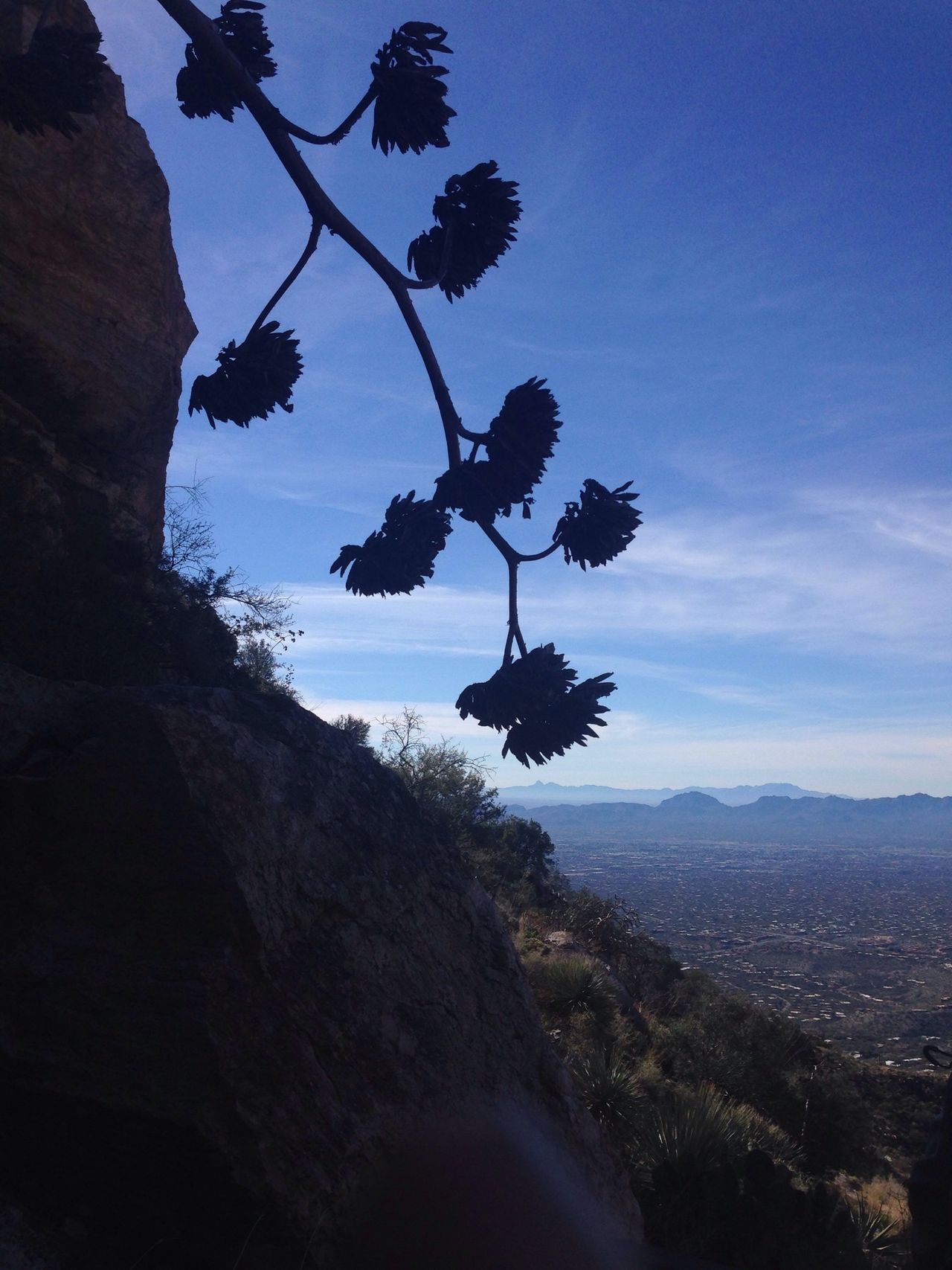 Finger Rock Trail