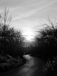 Bare trees on landscape against sky