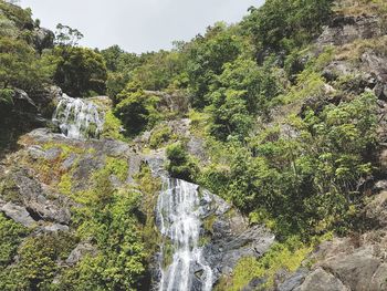 Scenic view of waterfall in forest against sky