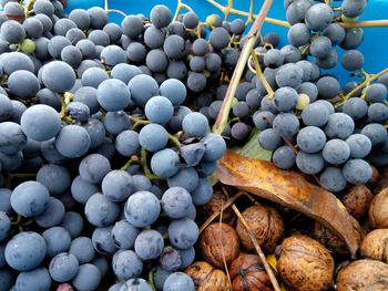 Close-up of grapes