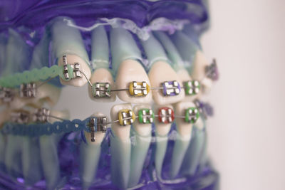 Close-up of artificial teeth