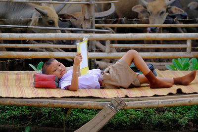 Boy sleeping on wood