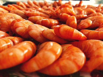 Close-up of shrimps for sale in market