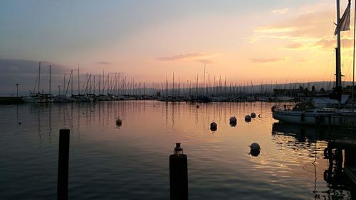 Sailboats in marina at sunset