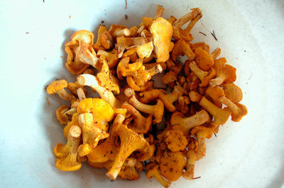 High angle view of mushrooms in container