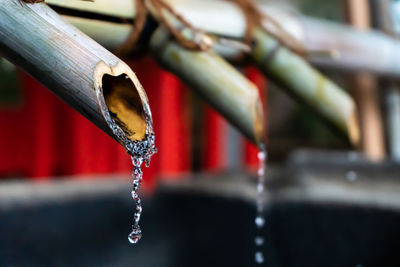 Close-up of water drops in a shrine