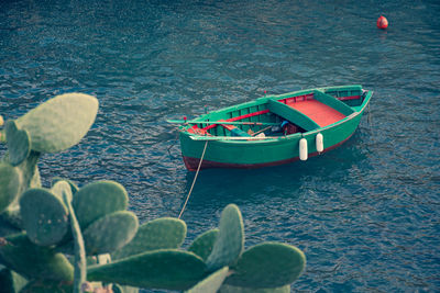 Beautiful old colored fishing wooden boat on the water with prickly pear cactus plant in foreground