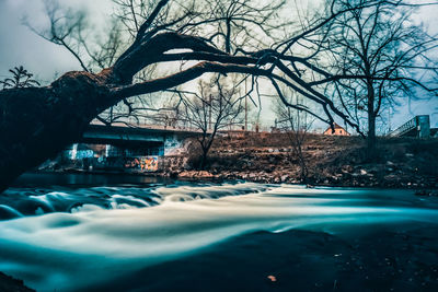 Bare trees by river against buildings during winter