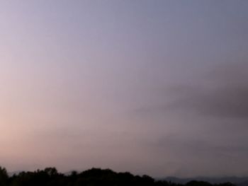 Low angle view of silhouette trees against sky at sunset