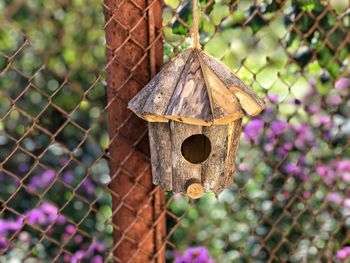 Close-up of birdhouse on wooden fence