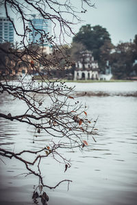 Close-up of bare tree by lake against sky