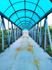 Empty footbridge along plants