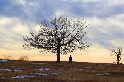 Silhouette bare tree on field against sky during sunset