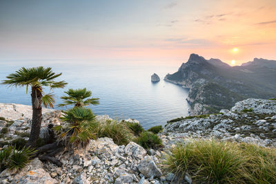 Scenic view of sea against sky during sunset