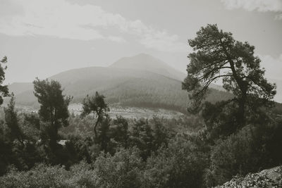 Scenic view of landscape against sky