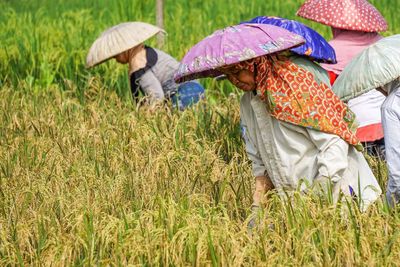 Woman with umbrella on field