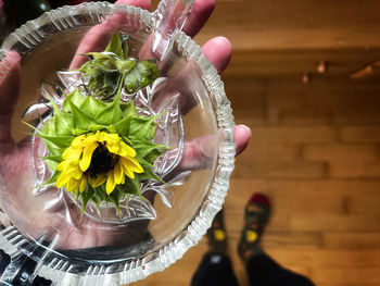 Cropped hand of woman holding sunflower in bowl