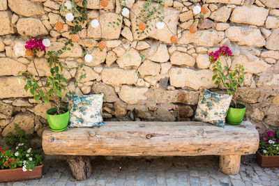 Potted plant against stone wall