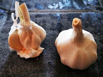 Close-up of garlic on leaf