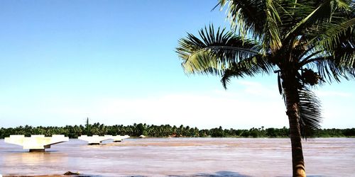 Scenic view of sea against clear sky