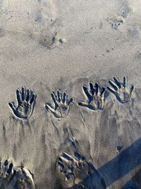 High angle view of beach