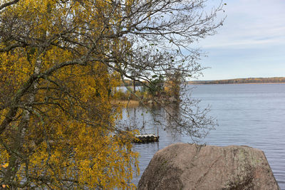 Tree by lake against sky during autumn