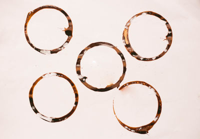 High angle view of coffee on white background