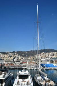 Sailboats moored at harbor