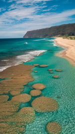 Scenic view of beach