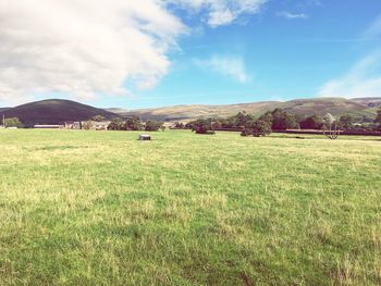 Scenic view of field against sky