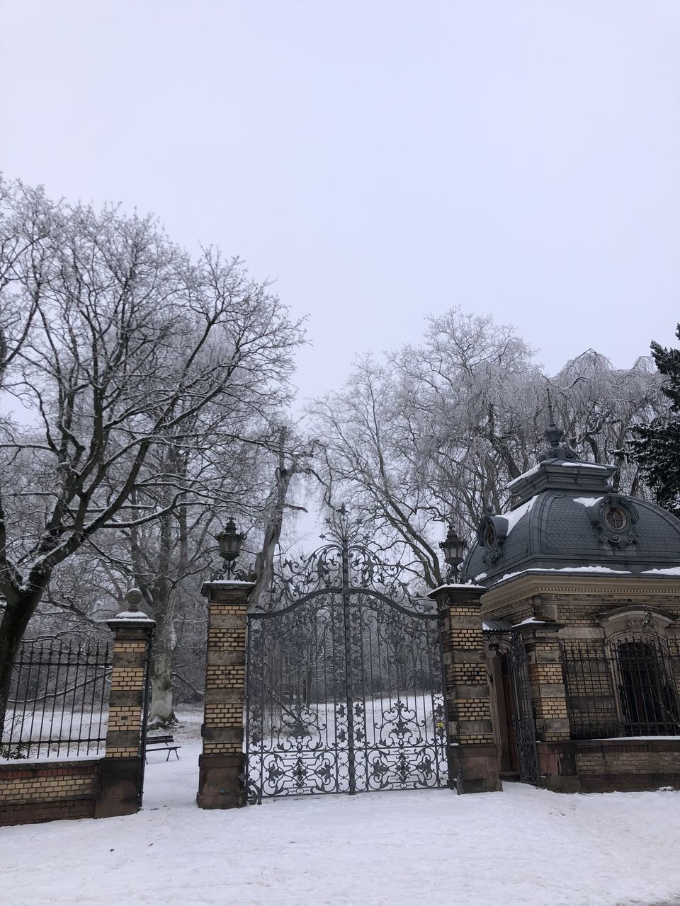 winter, tree, architecture, snow, built structure, building exterior, low angle view, plant, nature, building, bare tree, cold temperature, no people, sky, day, branch, house, outdoors, clear sky, tower