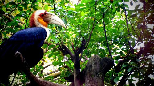Bird perched on tree
